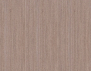 ModernWood Texture