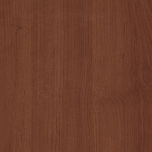 ModernWood Texture