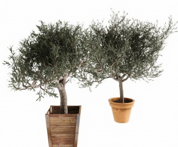 Modern Wabi-sabi Style Potted Green Plant-ID:317948102