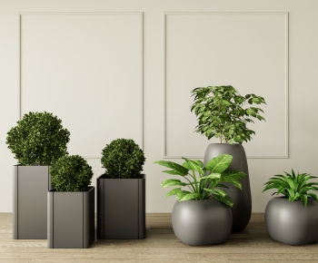 Modern Ground Green Plant Potted Plants-ID:120594024
