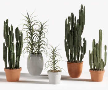 Modern Ground Green Plant Potted Plants-ID:105866912