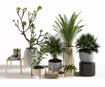 Modern Ground Green Plant Potted Plants-ID:500533104
