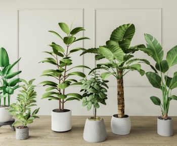 Modern Ground Green Plant Potted Plants-ID:150110018