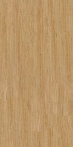 ModernWood Texture