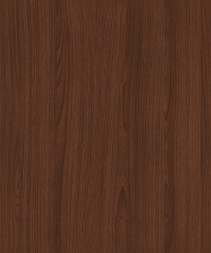 ModernWood Texture