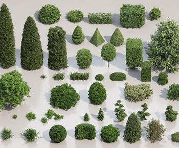现代绿篱灌木树球组合3D模型