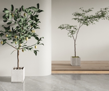 Modern Ground Green Plant Potted Plants-ID:598175057