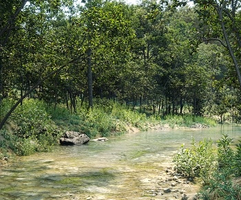 现代树林 河流3D模型