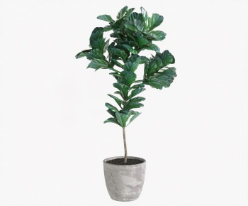 Modern Ground Green Plant Potted Plants-ID:177381049