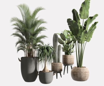 Modern Ground Green Plant Potted Plants-ID:879173997