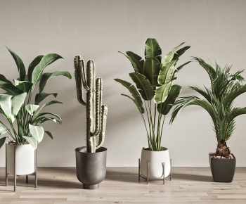 Modern Ground Green Plant Potted Plants-ID:573540934