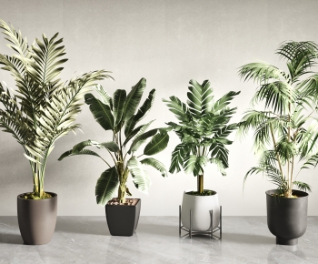 Modern Ground Green Plant Potted Plants-ID:575427063