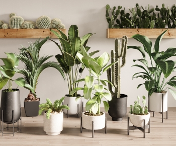 Modern Ground Green Plant Potted Plants-ID:111887935
