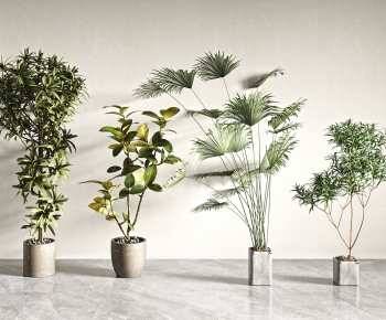 Modern Ground Green Plant Potted Plants-ID:670031072