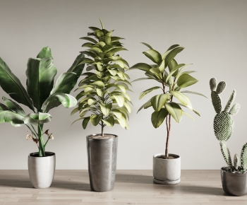 Modern Ground Green Plant Potted Plants-ID:677457097