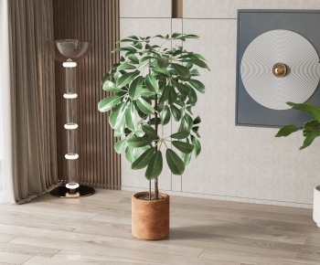 Modern Ground Green Plant Potted Plants-ID:281794072