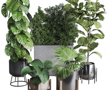 Modern Ground Green Plant Potted Plants-ID:463747027