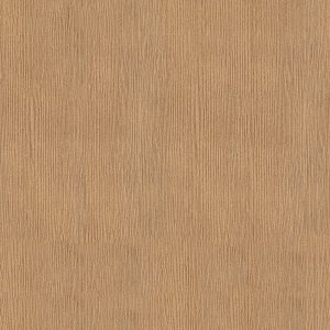 ModernWood Texture