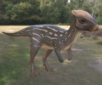 现代晚白垩世远古灭绝平头龙3D模型