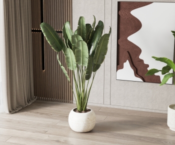 Modern Ground Green Plant Potted Plants-ID:234875928