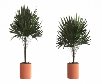 Modern Ground Green Plant Potted Plants-ID:975246912