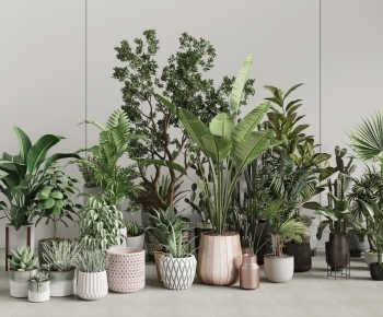 Modern Ground Green Plant Potted Plants-ID:639181135