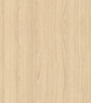 ModernWood Texture