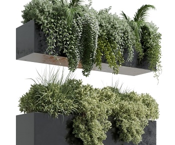 现代藤蔓爬墙虎 植物堆3D模型