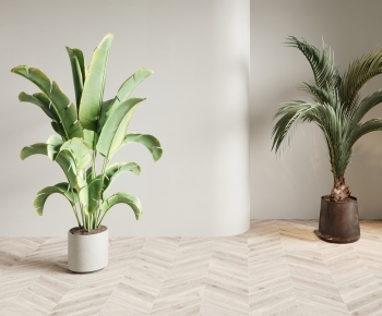 Modern Ground Green Plant Potted Plants-ID:288388977