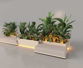 现代绿植盆栽 花箱3D模型