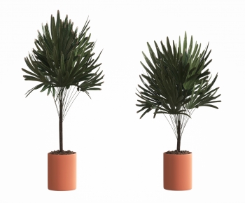 Modern Ground Green Plant Potted Plants-ID:698687081