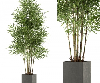 Modern Ground Green Plant Potted Plants-ID:714150914