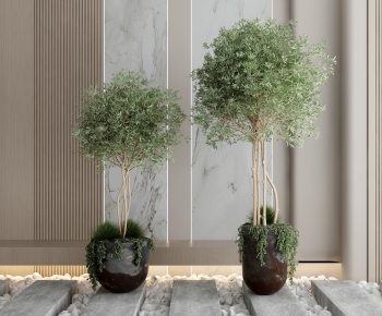 Modern Ground Green Plant Potted Plants-ID:301614054