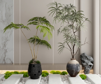 Modern Ground Green Plant Potted Plants-ID:454164987