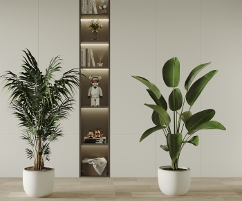 Modern Ground Green Plant Potted Plants-ID:479401113