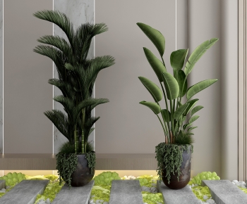 Modern Ground Green Plant Potted Plants-ID:991130112