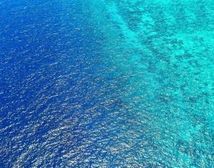 水波纹贴图-ID:220151902