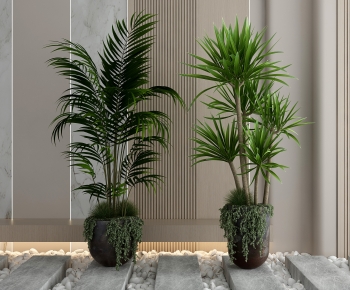 Modern Ground Green Plant Potted Plants-ID:181804904
