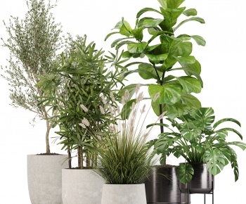 Modern Ground Green Plant Potted Plants-ID:629000908
