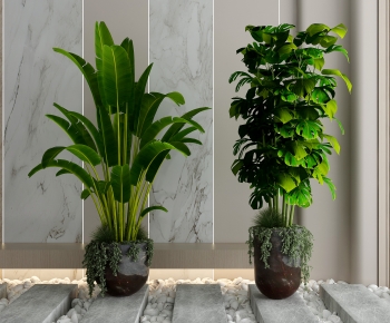 Modern Ground Green Plant Potted Plants-ID:951592921