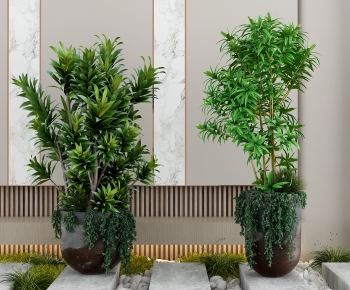 Modern Ground Green Plant Potted Plants-ID:332393884