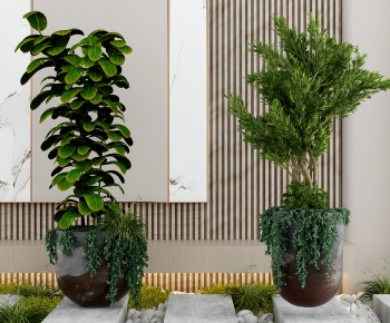 Modern Ground Green Plant Potted Plants-ID:649400009