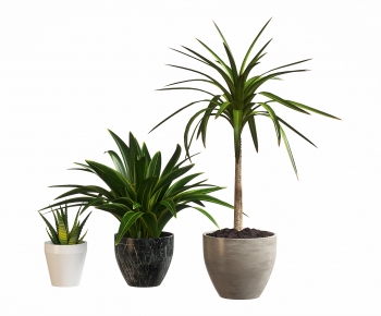 Modern Ground Green Plant Potted Plants-ID:273819057