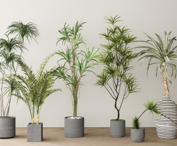 Modern Ground Green Plant Potted Plants-ID:857070924