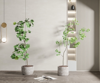 Modern Ground Green Plant Potted Plants-ID:962951906