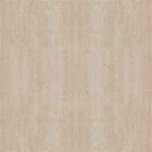 ModernWood Texture