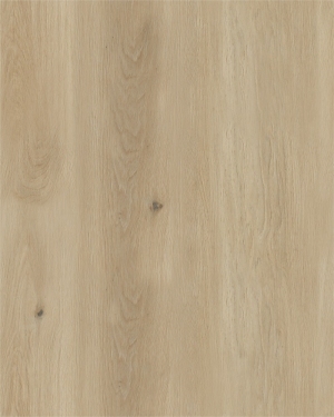 ModernWood Texture