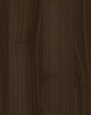 ModernWood Texture