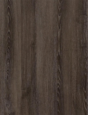 ModernWood Texture