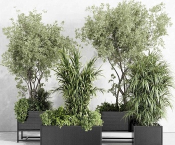 现代花箱 植物景观3D模型